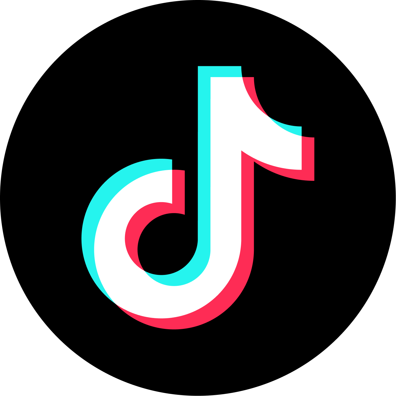 TikTok icon